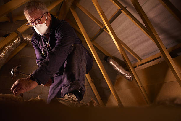 Best Insulation Installation Services in Hope, AR